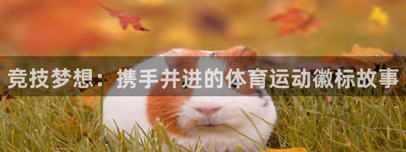 k1体育十年品牌值得信赖网址