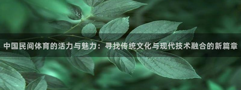 k1体育网站登录官网