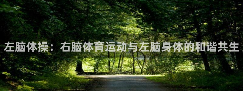 k1体育网站登录官网