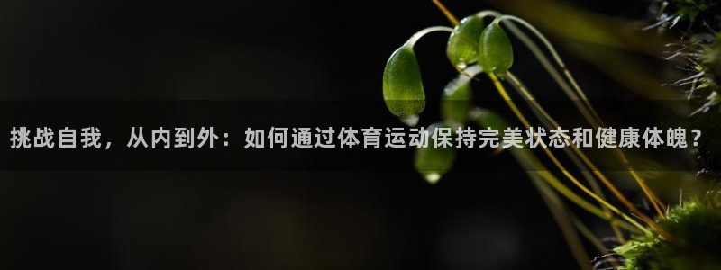 k1体育 十年品牌