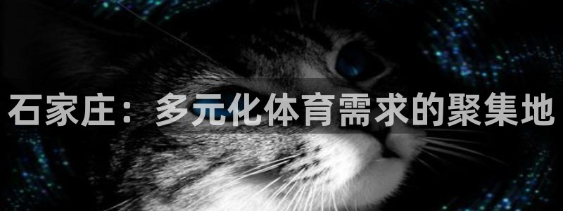 k1体育链接