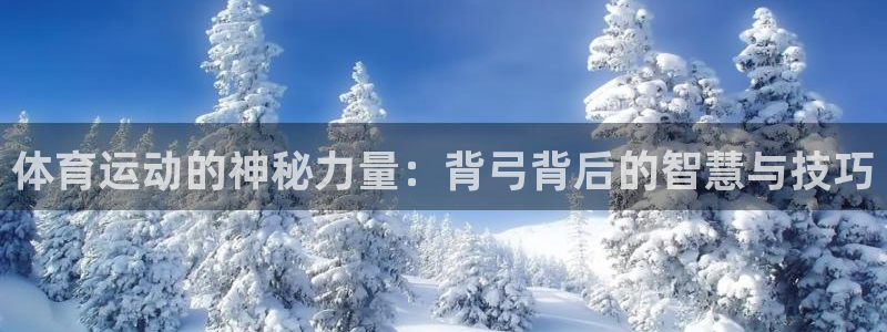 k1体育十年平台