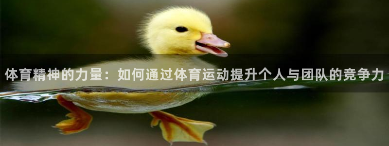 k1体育棋牌网址