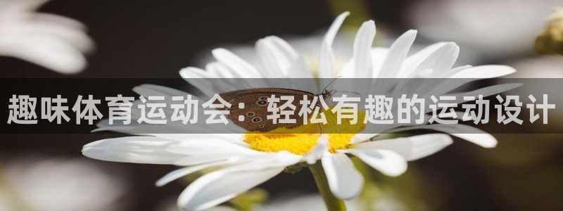 k1体育十年登录入口